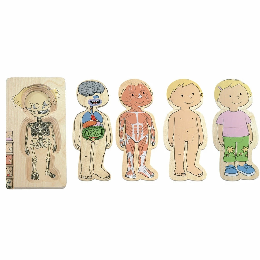Best deal π Beleduc - Your Body Girl 5 Layer Wooden Puzzle π 1 Best deal π Beleduc - Your Body Girl 5 Layer Wooden Puzzle π