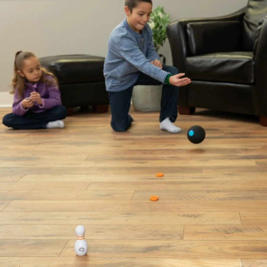 Budget ๐คฉ Fat Brain Toy Co Fat Brain Toys - Curve Bowl Game ๐ 2 Budget ๐คฉ Fat Brain Toy Co Fat Brain Toys - Curve Bowl Game ๐ - Image 2