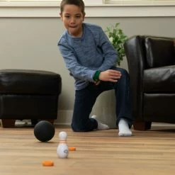 Budget ๐คฉ Fat Brain Toy Co Fat Brain Toys - Curve Bowl Game ๐ 12 Budget ๐คฉ Fat Brain Toy Co Fat Brain Toys - Curve Bowl Game ๐ -EeBoo Shop FA271 1 FatBrainToysCurveBowl 6 1024x1024