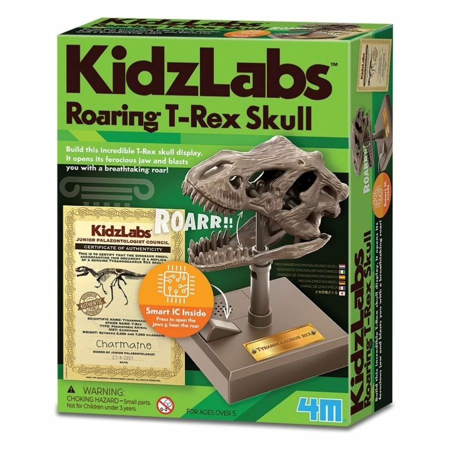 Best reviews of π 4M Toys - KidzLabs Roaring T-Rex Skull π₯ 1 Best reviews of π 4M Toys - KidzLabs Roaring T-Rex Skull π₯